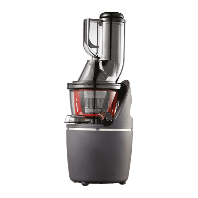 Gtech GT-916D Slow Juicer - Katı Meyve Presi, Gri